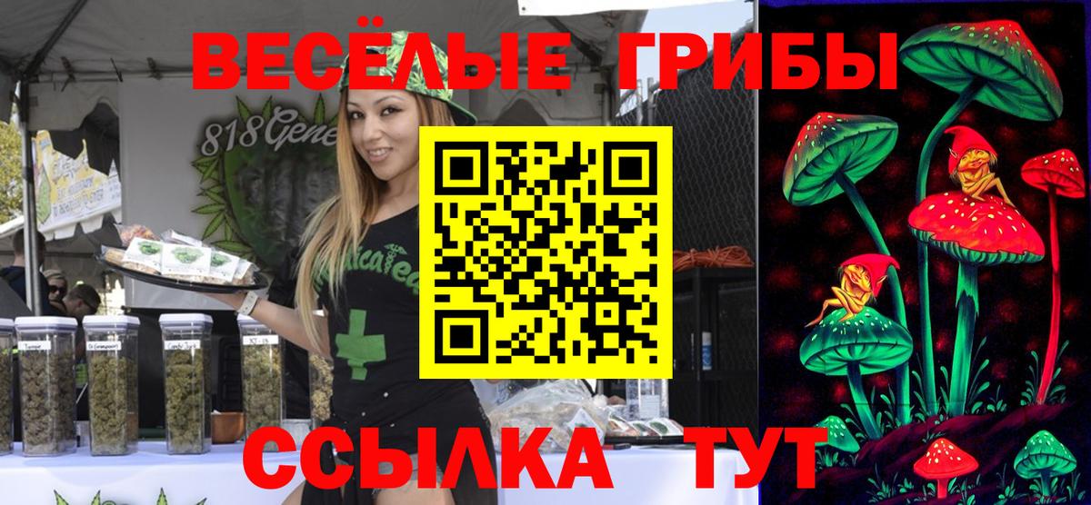 Галлюциногенные грибы ЛСД Шали