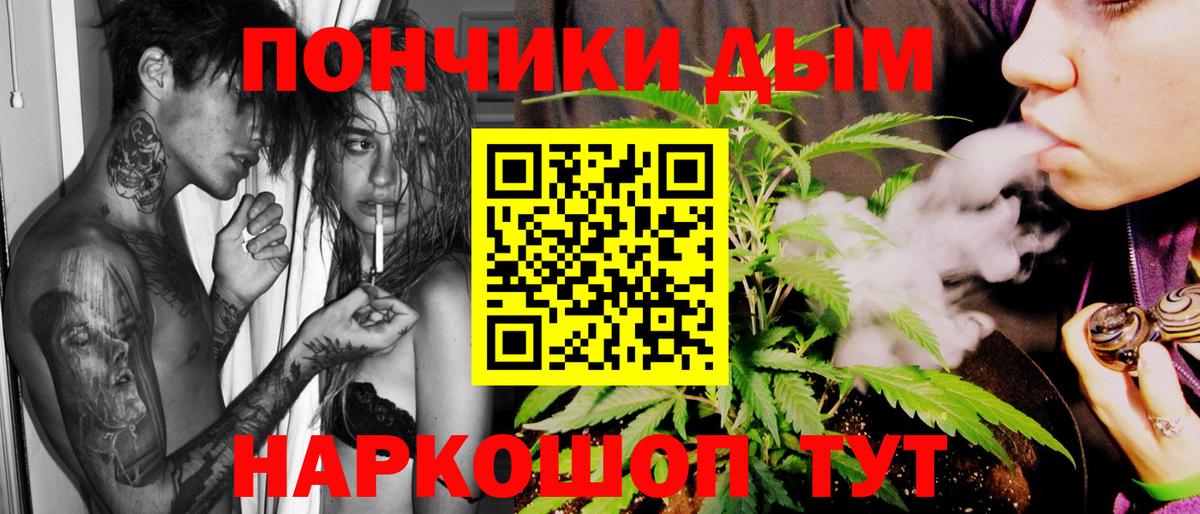 Канабис сатива Шали